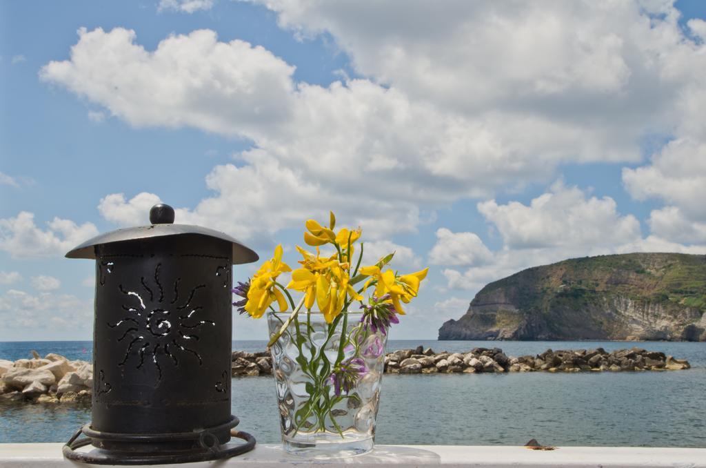 Appartamenti Le Pleiadi - Sant'Angelo D'Ischia 部屋 写真